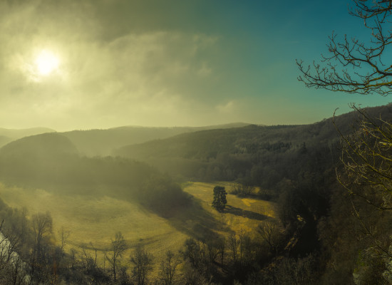 20160206-DSC_8310-1 Panorama-31
